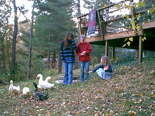 Pam, Angel and Abi feeding my ducks on 10/25/03 :)